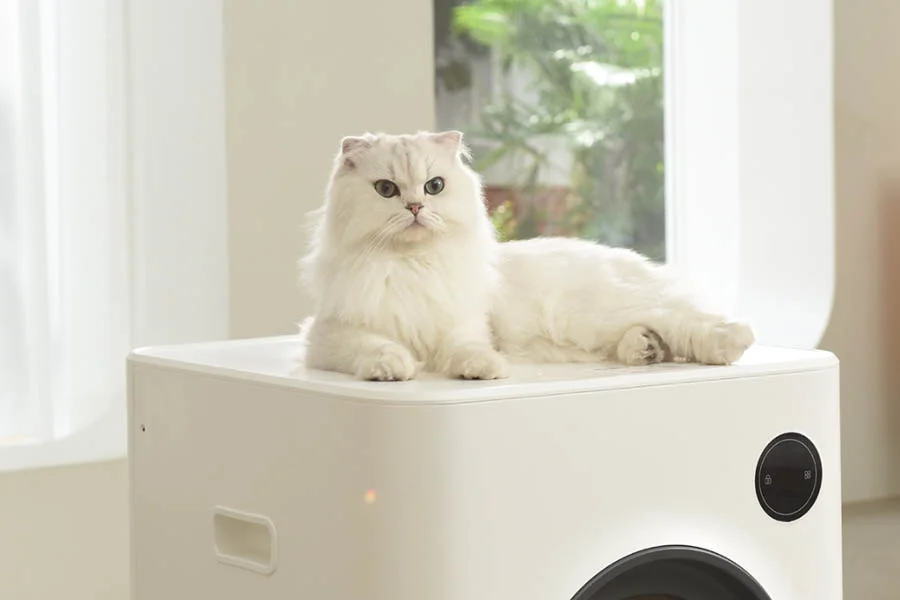 automatic cat boxes